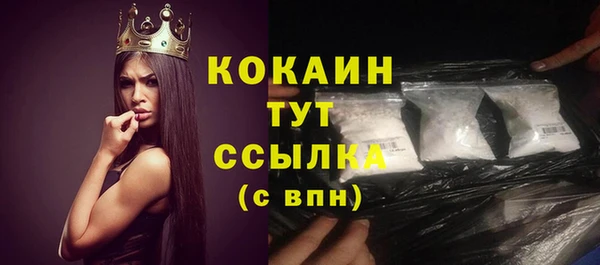 ешки Арсеньев
