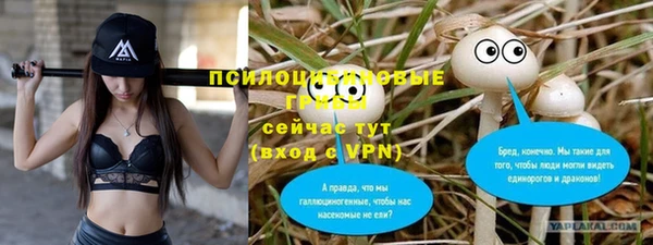 ешки Арсеньев