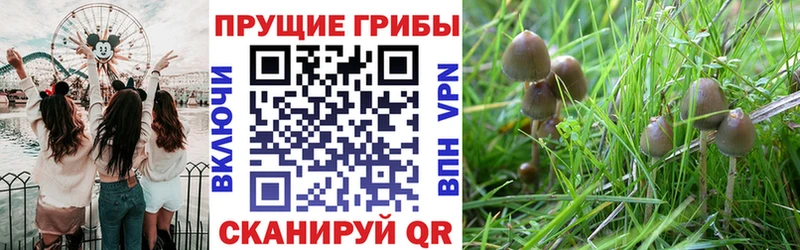закладки  Нарткала  сайты даркнета клад  Галлюциногенные грибы мухоморы 
