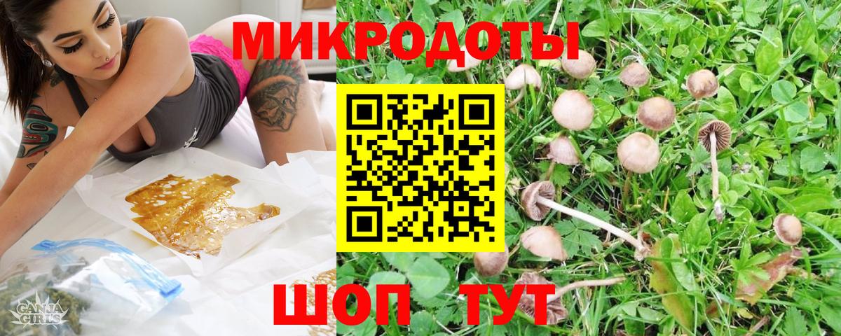Нарткала  Псилоцибиновые грибы GOLDEN TEACHER  Псилоцибиновые грибы прущие грибы  Вход с VPN 